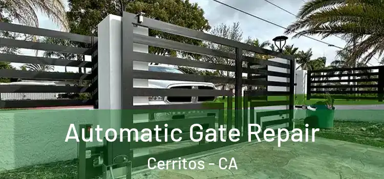 Automatic Gate Repair Cerritos - CA