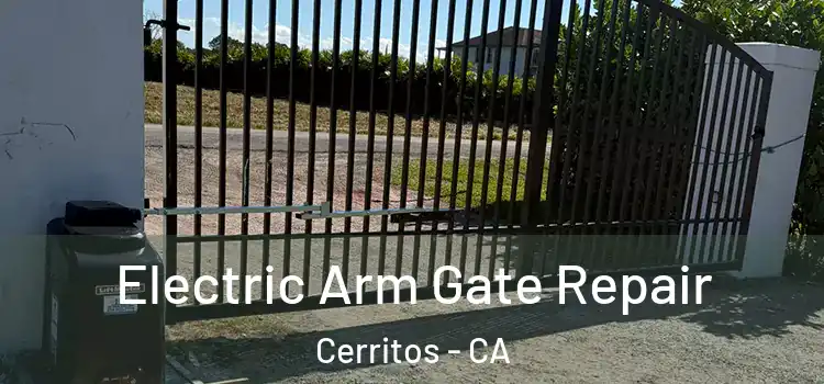 Electric Arm Gate Repair Cerritos - CA