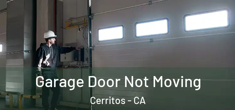  Garage Door Not Moving Cerritos - CA
