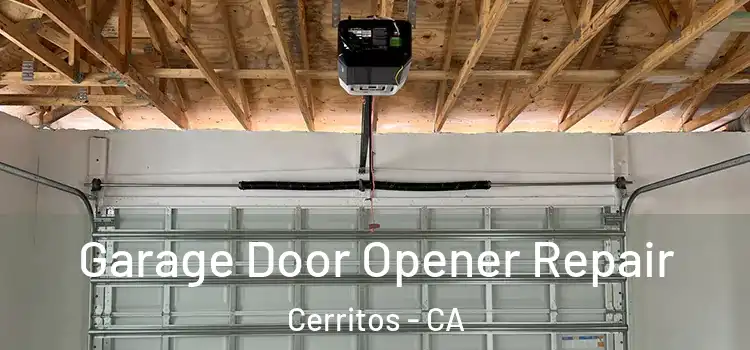  Garage Door Opener Repair Cerritos - CA