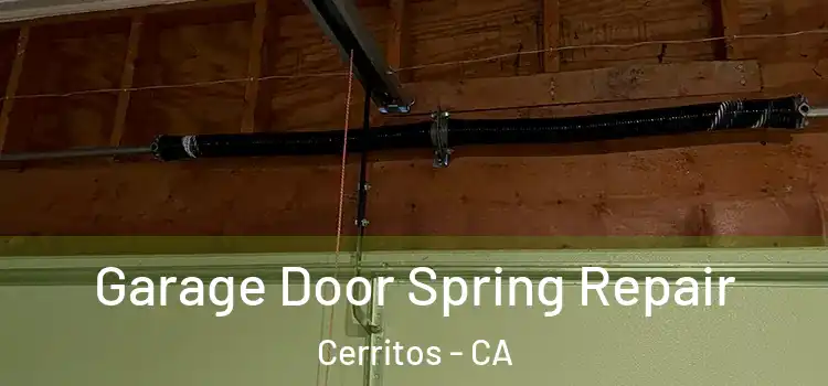  Garage Door Spring Repair Cerritos - CA