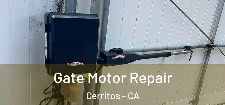 Gate Motor Repair Cerritos - CA