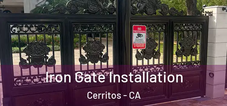 Iron Gate Installation Cerritos - CA