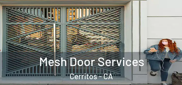 Mesh Door Services Cerritos - CA