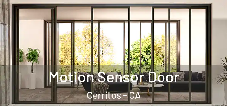 Motion Sensor Door Cerritos - CA