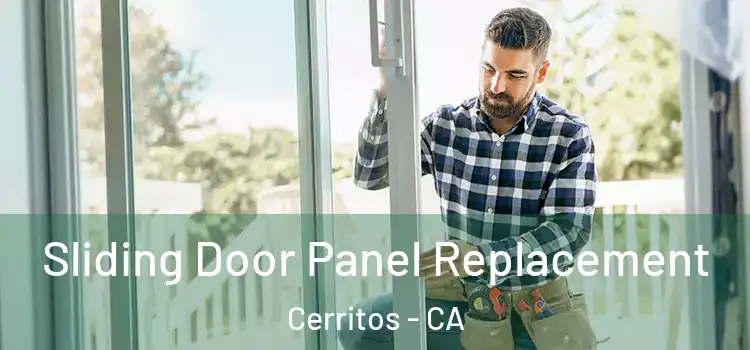  Sliding Door Panel Replacement Cerritos - CA